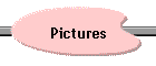 Pictures