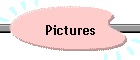Pictures